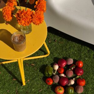 Full Harvest Share(18 weeks) Subscription