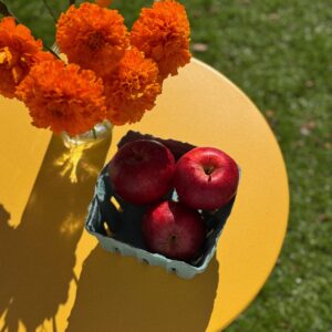 Full Harvest Share Full Season (18 weeks)